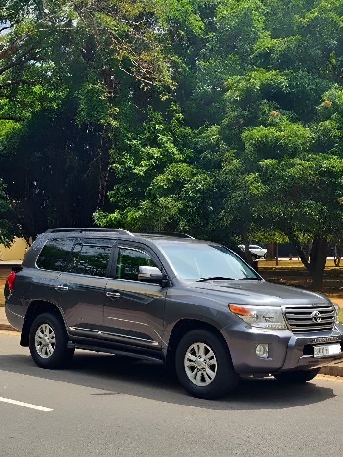 Thumbnail 1 background