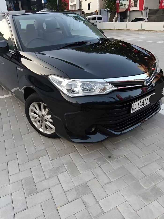 Thumbnail 1 background