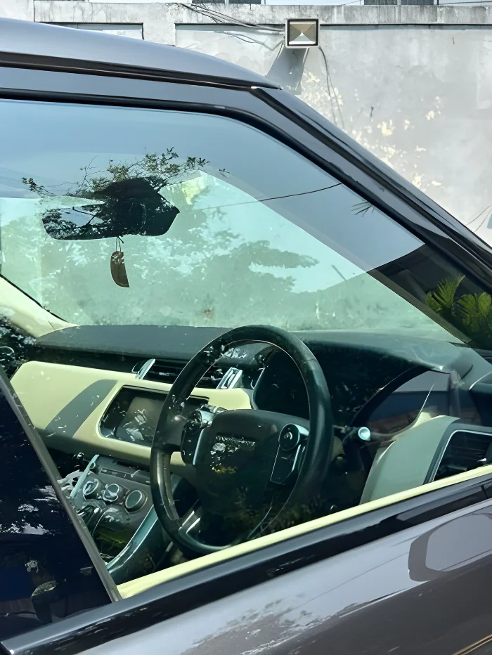 Thumbnail 1 background