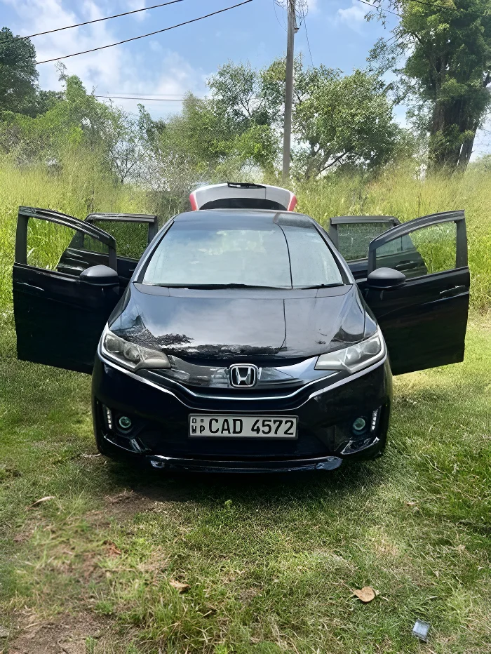 Main vehicle view background