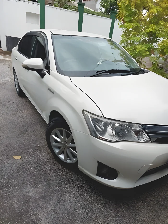 Main vehicle view background