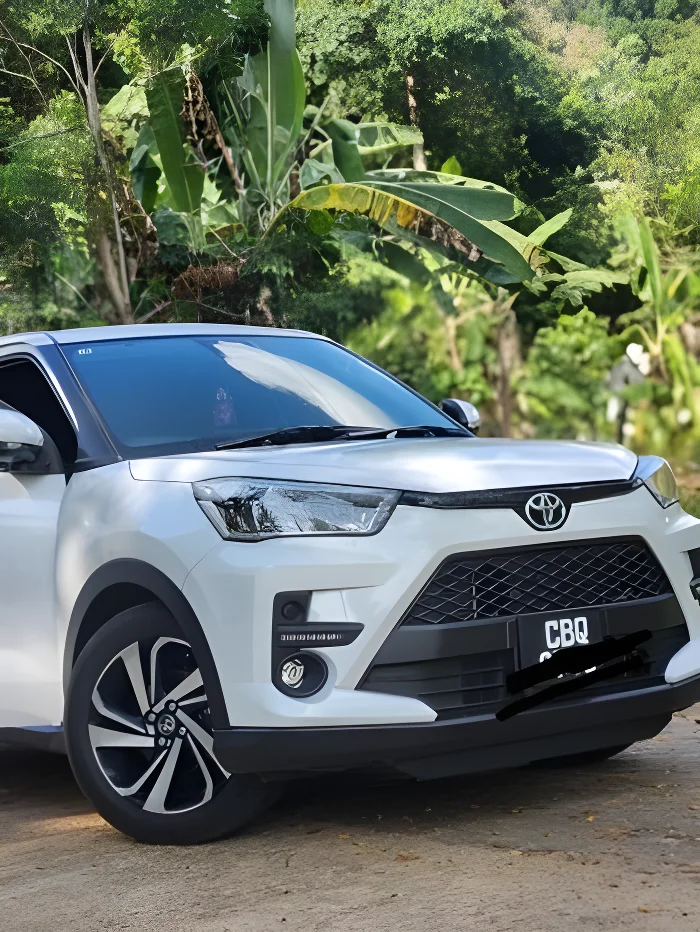 Thumbnail 1 background