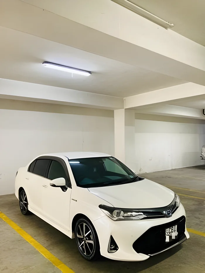 Thumbnail 1 background