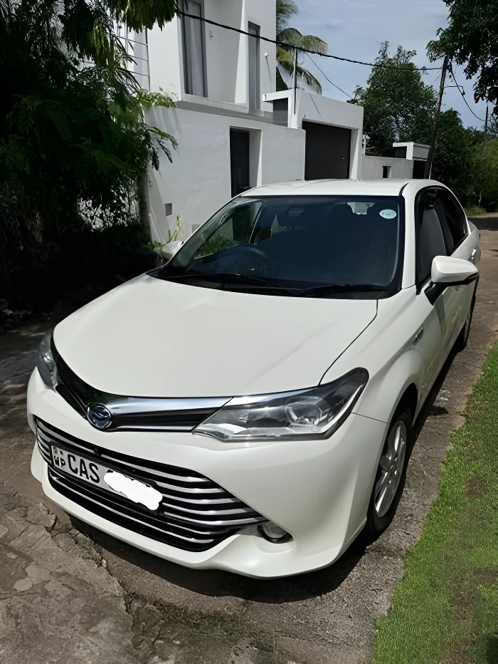 Thumbnail 1 background