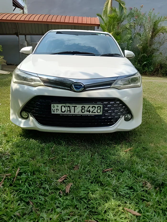 Main vehicle view background