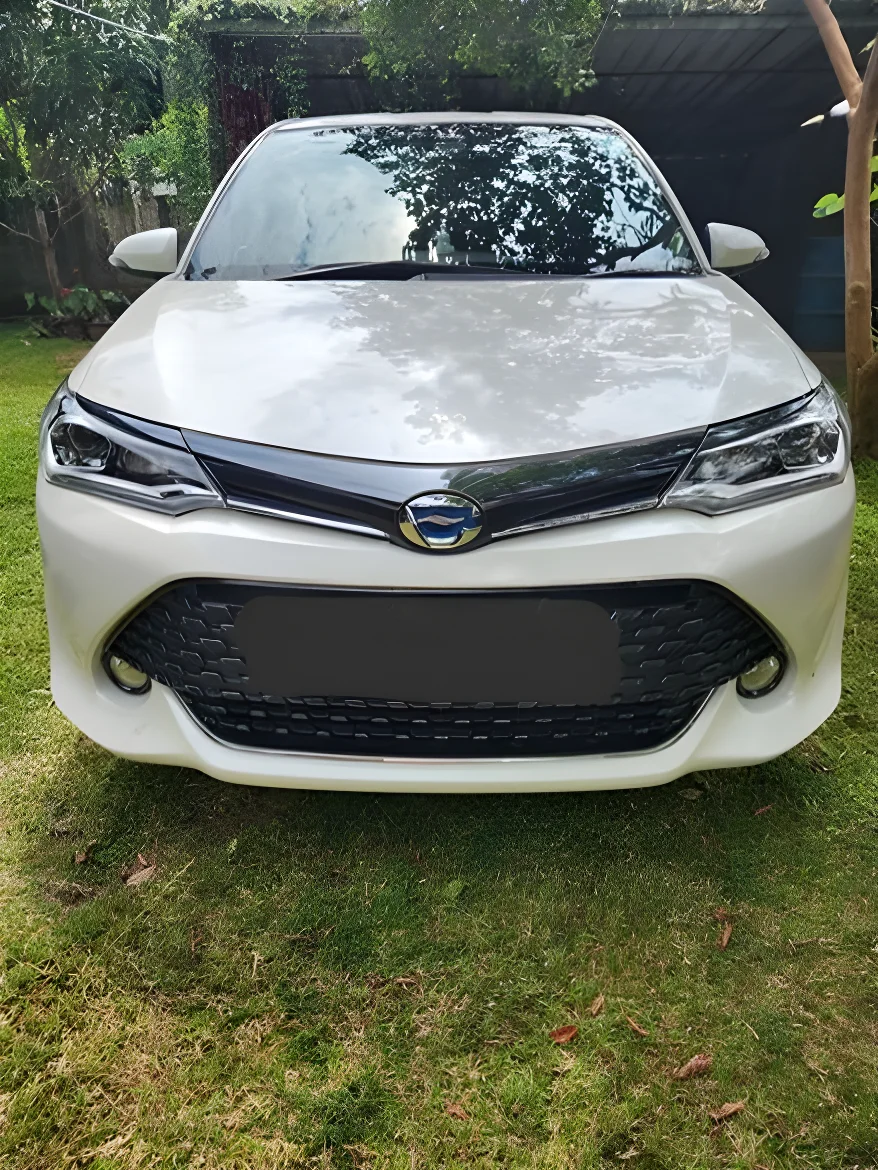 Main vehicle view background