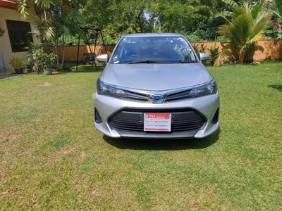 2024 Toyota Axio