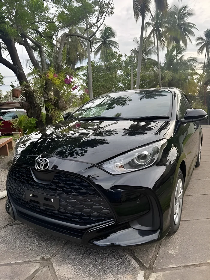 Main vehicle view background