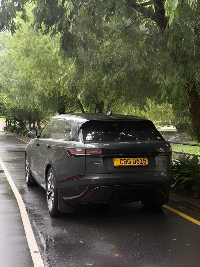 Thumbnail 4 background