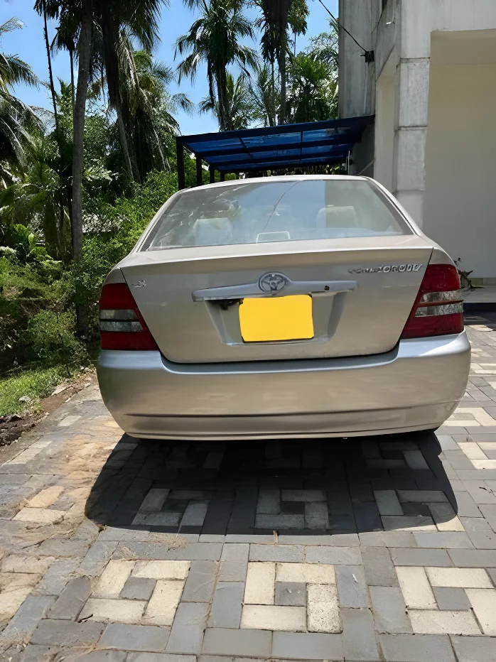 Thumbnail 4 background