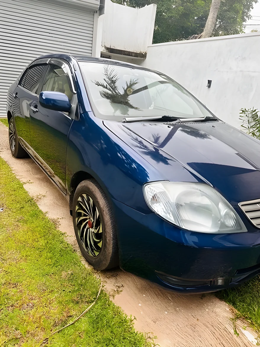 Thumbnail 1 background