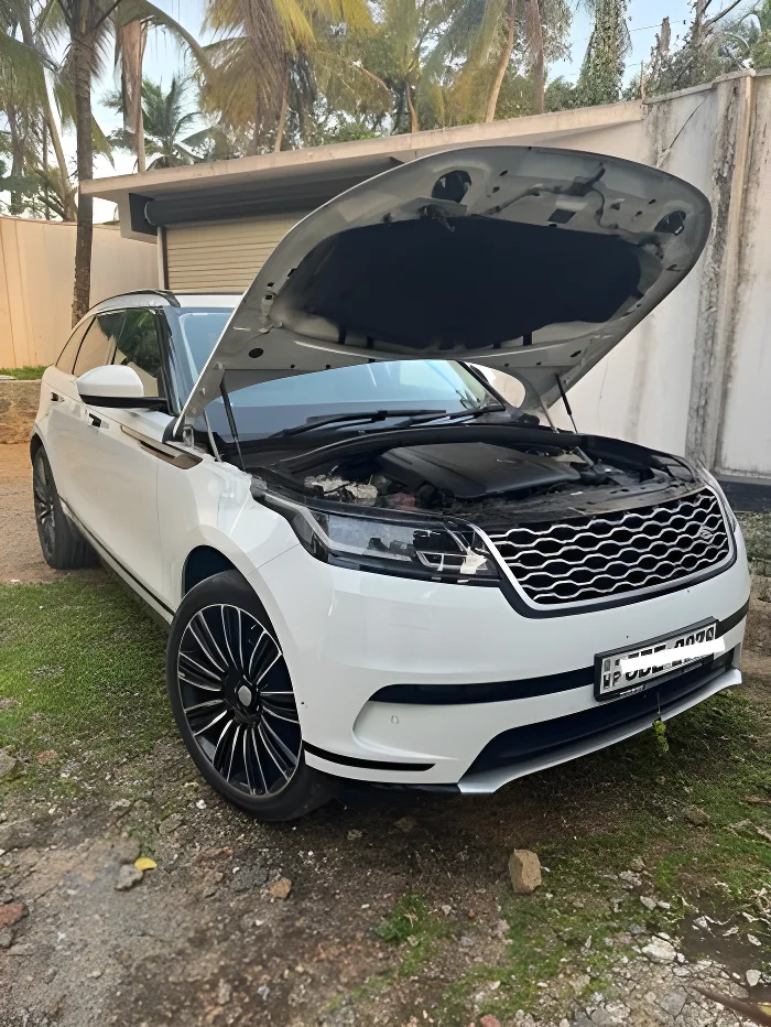 Thumbnail 4 background