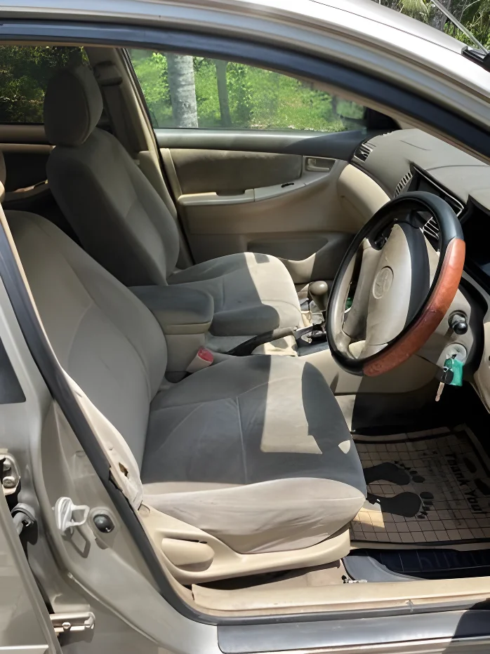 Thumbnail 1 background