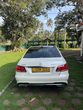 Thumbnail 4 background